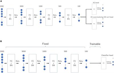 Extended Invariant Information Clustering Is Effective for Leave-One-Site-Out Cross-Validation in Resting State Functional Connectivity Modeling